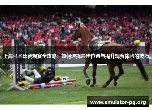上海马术比赛观赛全攻略：如何选择最佳位置与提升观赛体验的技巧