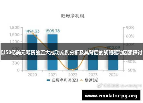以50亿美元筹资的五大成功案例分析及其背后的战略驱动因素探讨