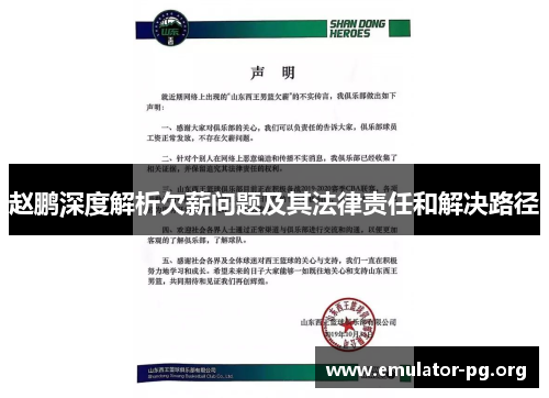赵鹏深度解析欠薪问题及其法律责任和解决路径
