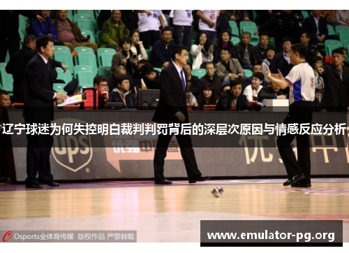 辽宁球迷为何失控明白裁判判罚背后的深层次原因与情感反应分析 辽宁球迷为何失控明白裁判判罚背后的深层次原因与情感反应分析