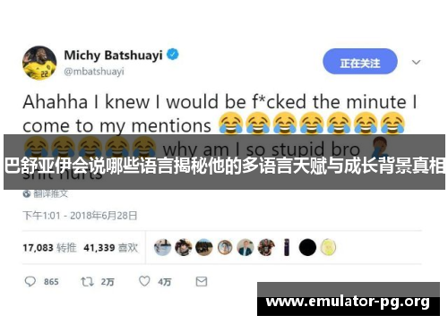 巴舒亚伊会说哪些语言揭秘他的多语言天赋与成长背景真相