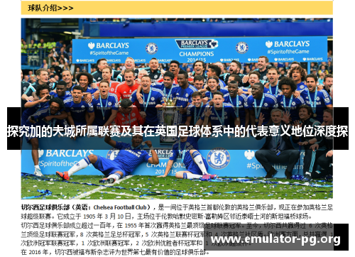 探究加的夫城所属联赛及其在英国足球体系中的代表意义地位深度探 探究加的夫城所属联赛及其在英国足球体系中的代表意义地位深度探