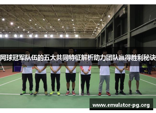 网球冠军队伍的五大共同特征解析助力团队赢得胜利秘诀