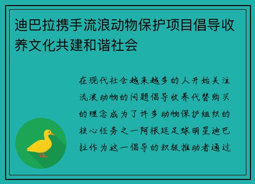 迪巴拉携手流浪动物保护项目倡导收养文化共建和谐社会 迪巴拉携手流浪动物保护项目倡导收养文化共建和谐社会